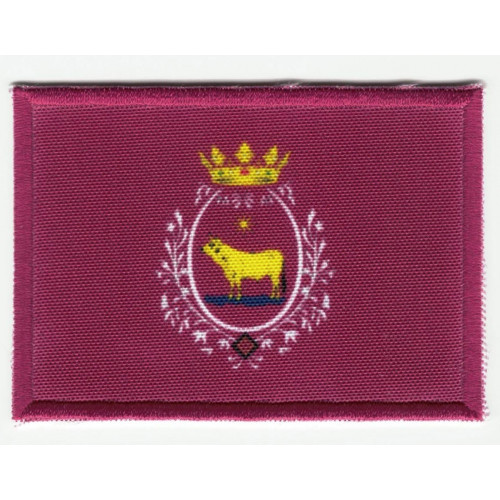 Patch textile and embroidery FLAG TERUEL 7CM x 5CM
